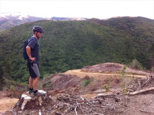 Logging truck access road up to skid site from bottom of Stratton st (Woolshed)